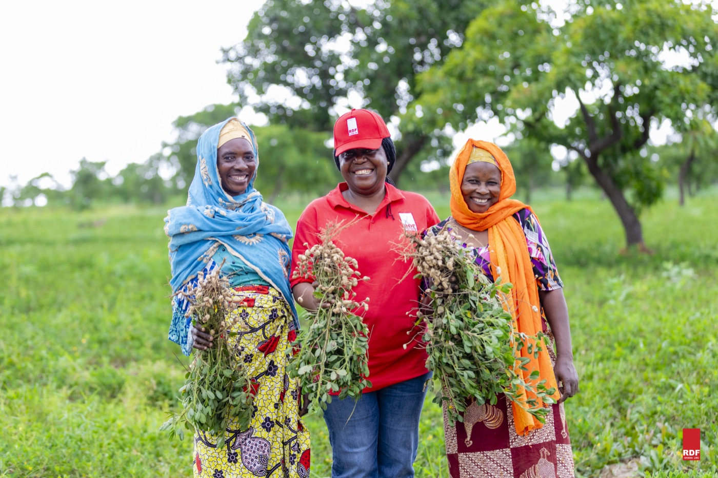Women beneficiaries holding harvested groundnut plants — RDF Ghana field visit
